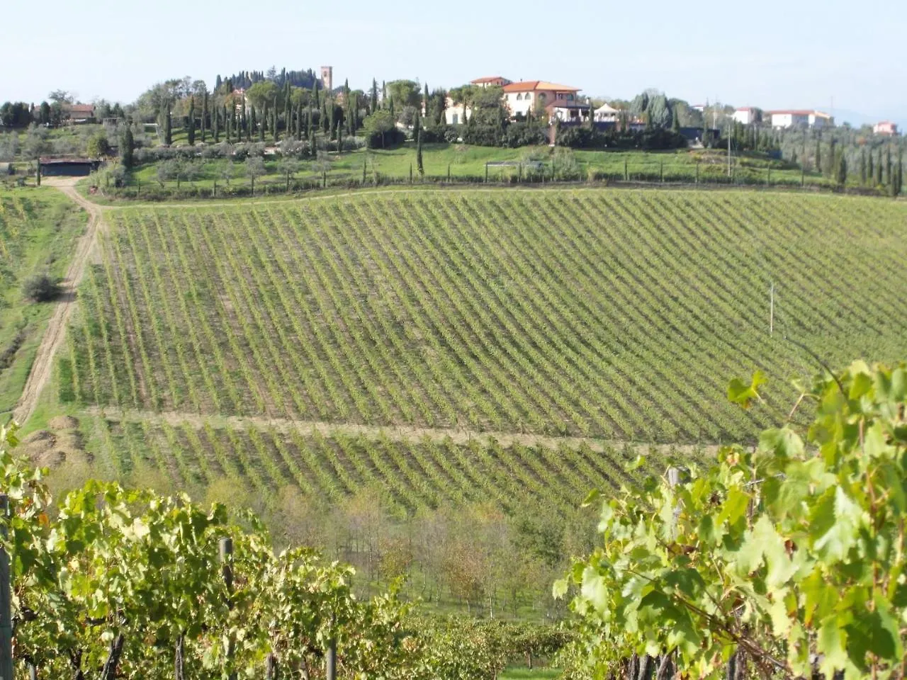 Apartments In Cerreto Guidi/Toskana 23873